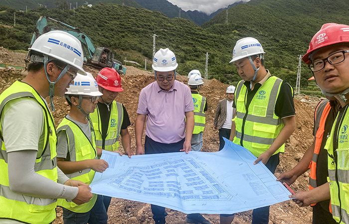 1756083059122619.jpg 小圖葉枝1.jpg